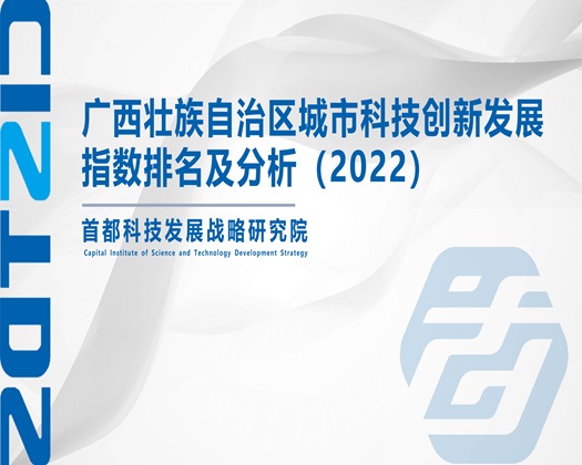 被大鸡巴操高潮视频【成果发布】广西壮族自治区城市科技创新发展指数排名及分析（2022）